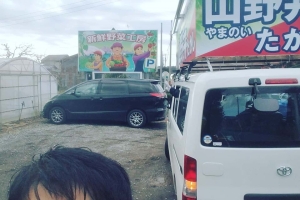 取手市の美味しい野菜