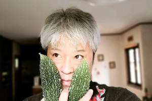 もぎり立てのゴーヤーを頂戴しました!