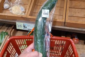 痩せたズッキーニかと思いきや…