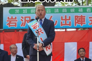 ✨🌿 茨城県議会議員補欠選挙がスタート 🌿✨