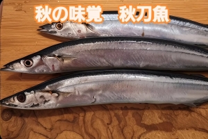 🍂🐟 秋といえばサンマ!