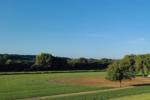 ✨ 朝の散歩 5,000歩 ✨